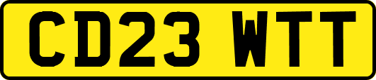 CD23WTT