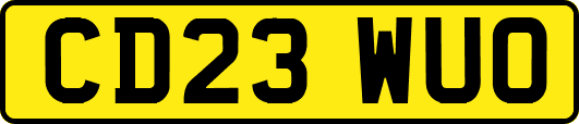 CD23WUO
