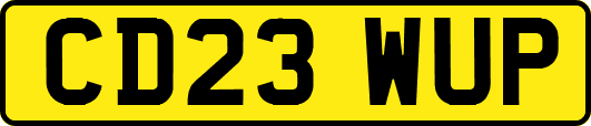 CD23WUP