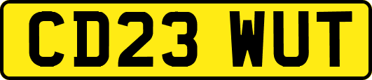 CD23WUT