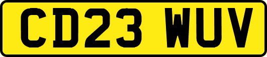 CD23WUV