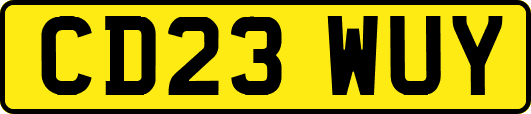 CD23WUY