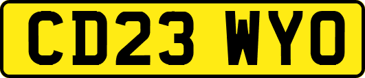 CD23WYO