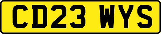 CD23WYS