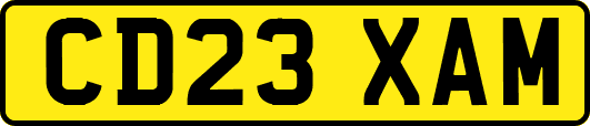 CD23XAM