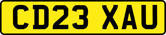 CD23XAU
