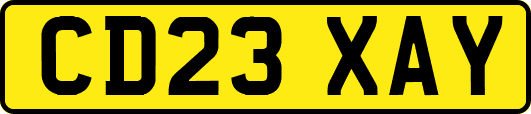 CD23XAY
