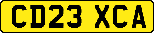 CD23XCA