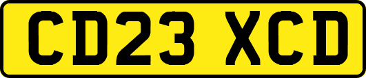 CD23XCD