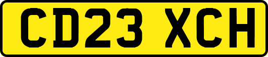 CD23XCH