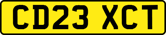 CD23XCT