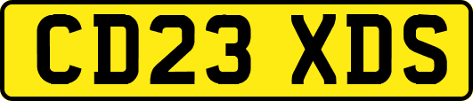 CD23XDS