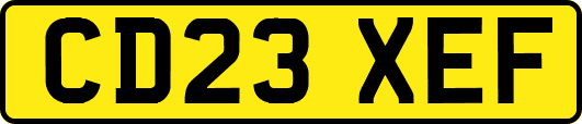 CD23XEF