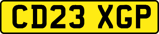 CD23XGP