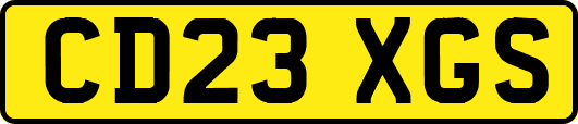 CD23XGS
