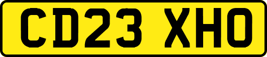 CD23XHO