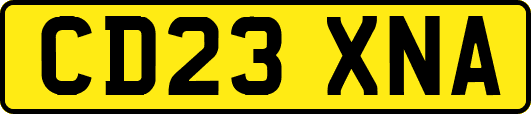 CD23XNA