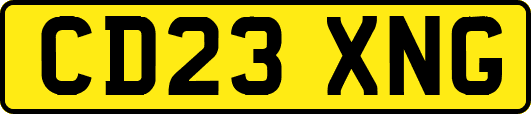 CD23XNG