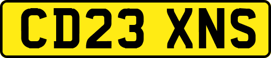 CD23XNS