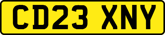 CD23XNY