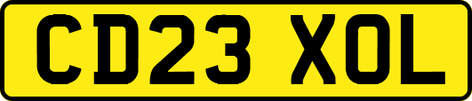 CD23XOL