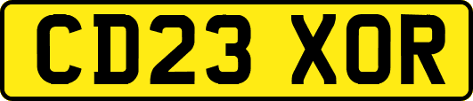 CD23XOR