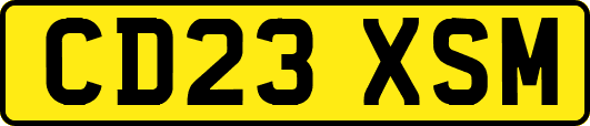 CD23XSM