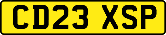 CD23XSP
