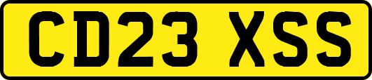 CD23XSS