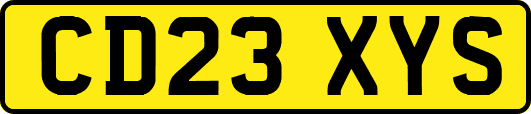 CD23XYS