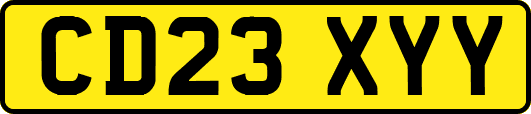 CD23XYY