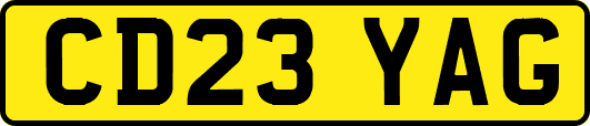 CD23YAG