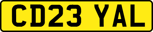CD23YAL
