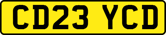 CD23YCD