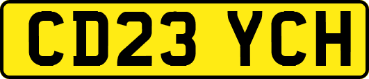 CD23YCH