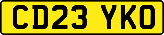 CD23YKO