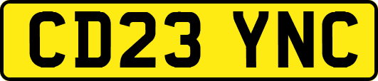 CD23YNC