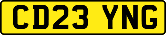 CD23YNG