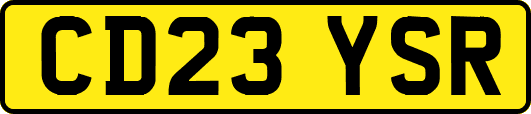 CD23YSR