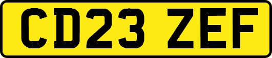 CD23ZEF