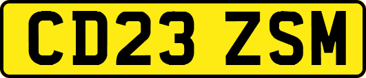 CD23ZSM