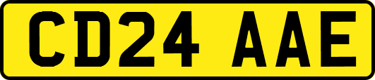 CD24AAE