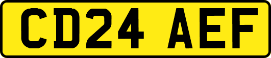 CD24AEF