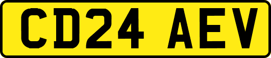 CD24AEV