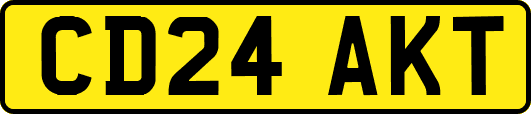 CD24AKT