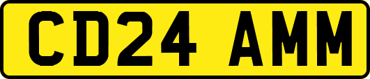 CD24AMM