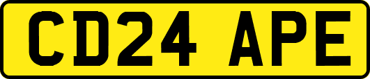 CD24APE