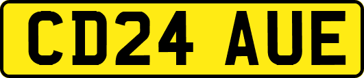 CD24AUE