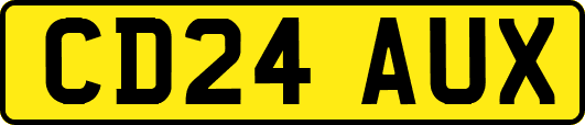 CD24AUX