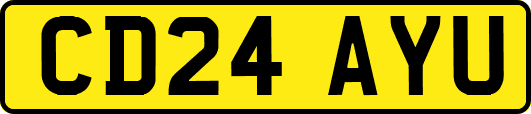 CD24AYU